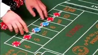 How to Play Craps : How to Place Bets that Pay Out in Craps