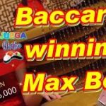 Baccarat winning Max Bet!