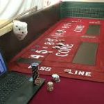 Craps Strategy | Beginners betting| Field Bets | Small buy in