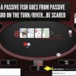 Poker Strategy – How to Crush Fish Postflop