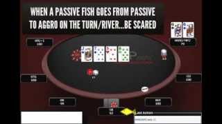 Poker Strategy – How to Crush Fish Postflop