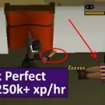 [OSRS] In-Depth Efficient Blackjacking Guide – Tick-perfect Low Click Intensity (PC and Mobile)