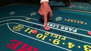 How To Play Craps: How to Bet on Propopsition Bets