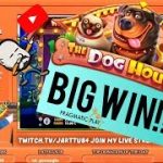 Big Win From The Dog House Slot!!