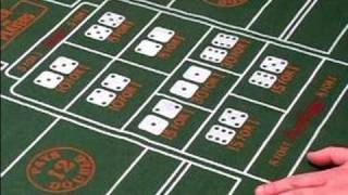 How to Play Craps : How to Play the Proposition Box in Craps