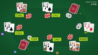 How to Play Poker in 3.5 minutes!