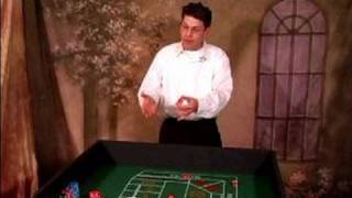 How to Play Craps : How to Play Craps