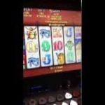 Betting Max $180 dollars a hit on poker machine –  big 10K + WINNNNN