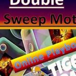 Double Jet ✈ Sweep Motion 🏈 Craps Betting Strategy for the Professional Player