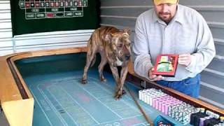 Learn How to Play Craps Video Putting Odds on the Craps Table