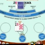 Blackjack Cheat Software