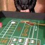 How to Play Craps : Craps Do’s & Don’ts
