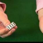 How to Play Craps Without Betting : Craps: Explaining the Dice
