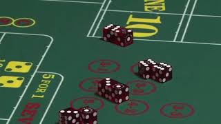 Craps Rolling And Betting