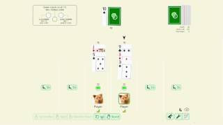 Learning Perfect Blackjack Strategy and Card Counting