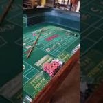 My 8 foot craps table