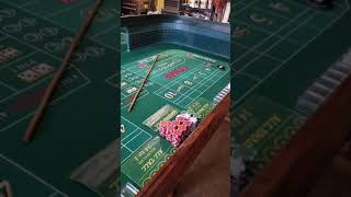 My 8 foot craps table