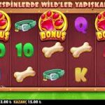 SLOT DOG HOUSE TA 3 TL İLE 1.104 TL PARA KAZANDIK🤫🤫