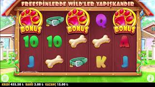 SLOT DOG HOUSE TA 3 TL İLE 1.104 TL PARA KAZANDIK🤫🤫