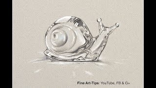 How to Draw a Crystal Snail – Baccarat Style – Narrated
