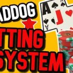 MadDog Blackjack Betting System – Will it work?