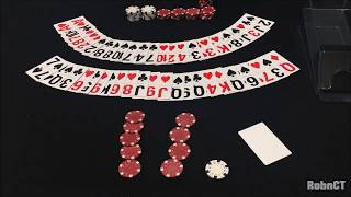 Blackjack Simulation #1: 1v1 4 decks 20 chips Hitting cards up to 17 Not Basic Strategy
