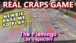 CRAPS ON THE STRIP! – Live Craps Game #47 – Flamingo, Las Vegas, NV – Inside the Casino – ASMR video
