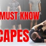 4 MUST KNOW Escapes For MMA and Self Defense