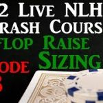 Preflop Raise Size? Live 1/2 Poker Coaching Crash Course EP8 from Detroit Poker
