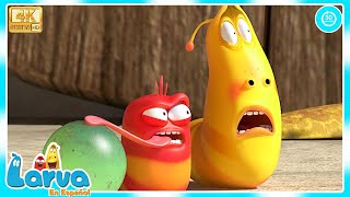 NUEVOS EPISODIOS DE LARVA 4K – JUEGO DE BÁSQUETBOL | Los Mejores Dibujos Animados | LARVA en Español