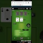 bet on last winner  martingale baccarat strategy