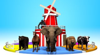 Learn Animals & Numbers & Colors | with Roulette Corral | Happy Kids TV