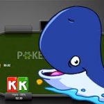 How to Play Against a POKER WHALE
