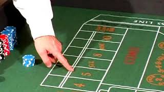 How to Play Craps