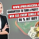 OFFICIAL STANDARD LEVEL NUMERATOR TRAINING-WINNING ROULETTE STRATEGY-ROULETTE SYSTEM- BACCARAT
