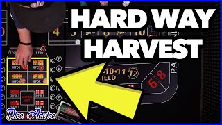 Craps Hard Way Harvest | Dice Betting Strategy