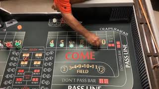 Craps Hawaii — Showing the $290 Across