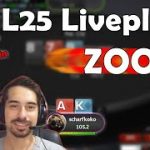 How to CRUSH $25NL Zoom Poker (Play&Explain)