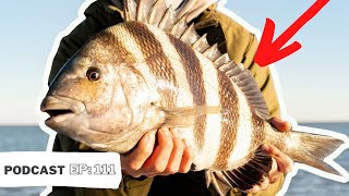 HOW TO CATCH SHEEPSHEAD (Summertime Sheepshead Fishing Tactics)