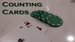 Learning To Count Cards in BlackJack