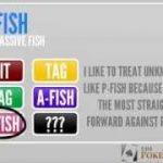 Types Of Poker Players (Nits, TAGs, LAGs, Fish, Etc.) | SplitSuit