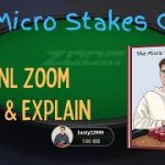 The Micro Stakes Guide – 10NL Zoom Play & Explain!