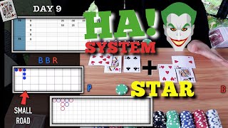 DAY 9 ♠ HA System + Small Road!! | STAR SURVIVAL Baccarat Series