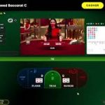 BACCARAT 483 Which bet placement strategy would you use and how would you do
