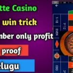 || Roulette casino  in telugu.