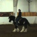 Roulette learning green reining