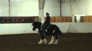 Roulette learning green reining