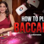 How to Play Baccarat in the Casino (3min Beginner Tutorial)