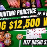 Blackjack | +$12,500 WIN | Basic Strategy $1000 hands [6/n]