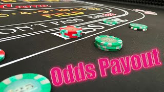 Best Bet in the Casino | True Odds Bet